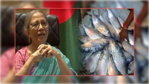 আমরাও দুর্গোৎসব করি