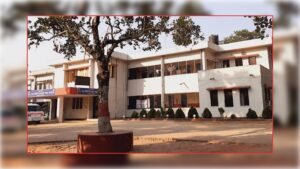 দুই ছেলের