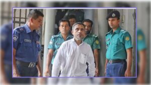 জামিন পেলেন