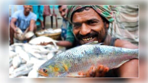 ১৩ অক্টোবর থেকে