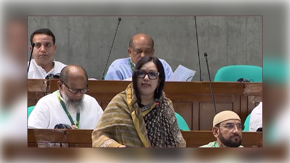 আমার এলাকার হাসপাতাল ‘নিজেই যেন এক রোগী’: রুমিন ফারহানা